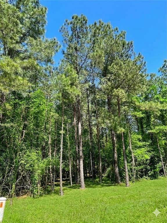 399 Camp Ranch Road Property Photo 2