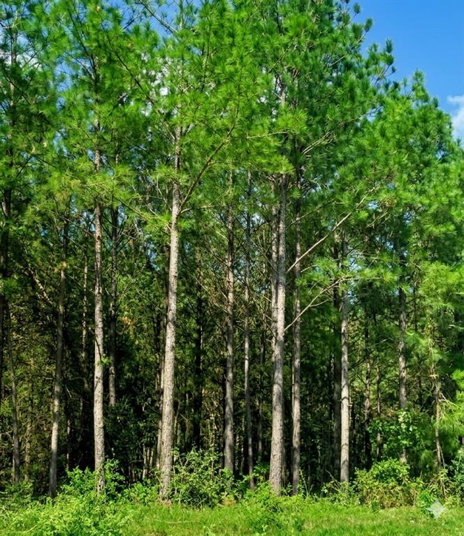 399 Camp Ranch Road Property Photo 3