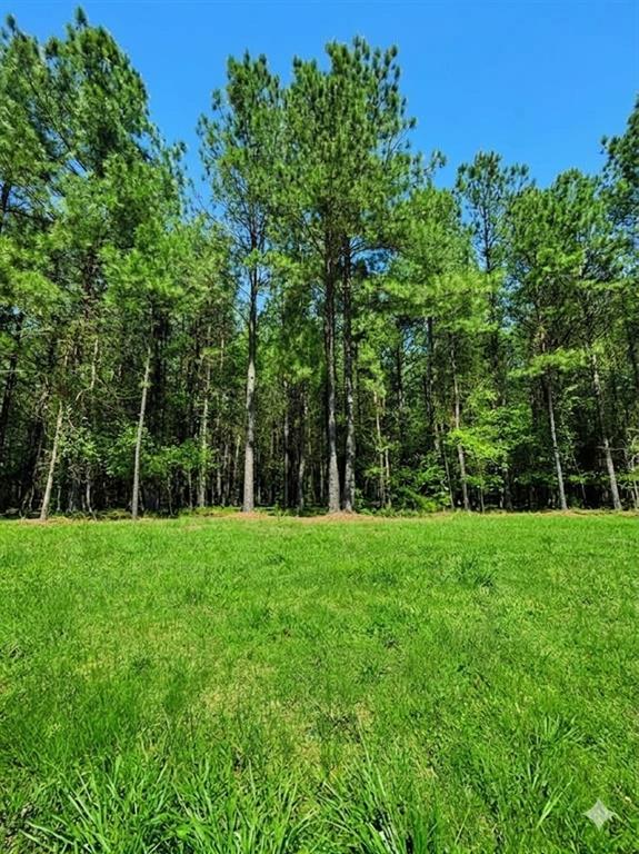 399 Camp Ranch Road Property Photo 4