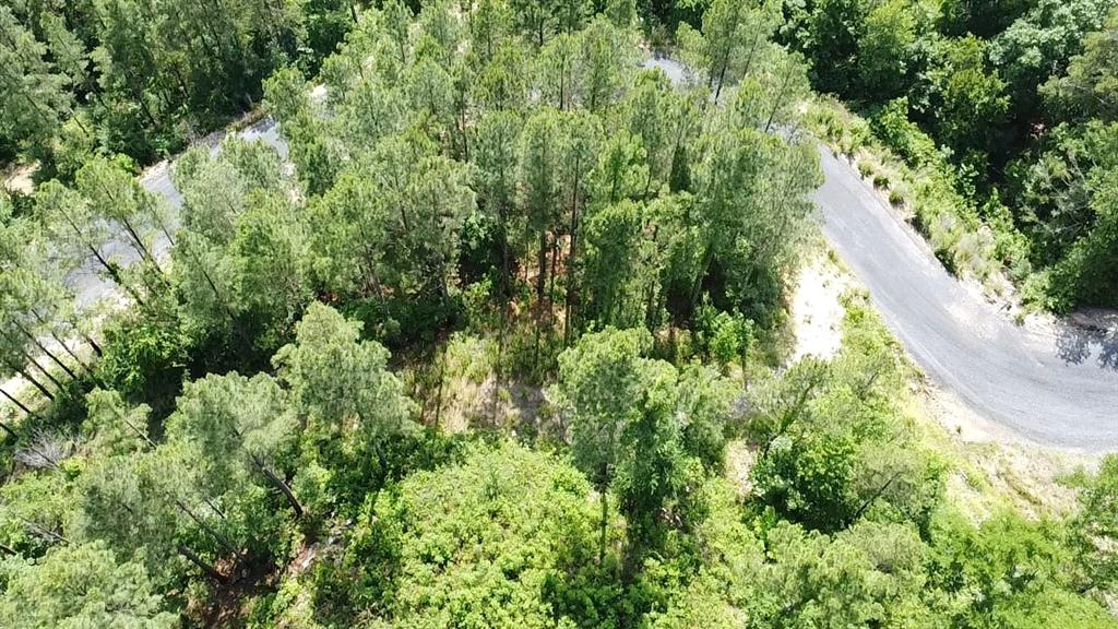 635 Virginia Pine Place Property Photo 13