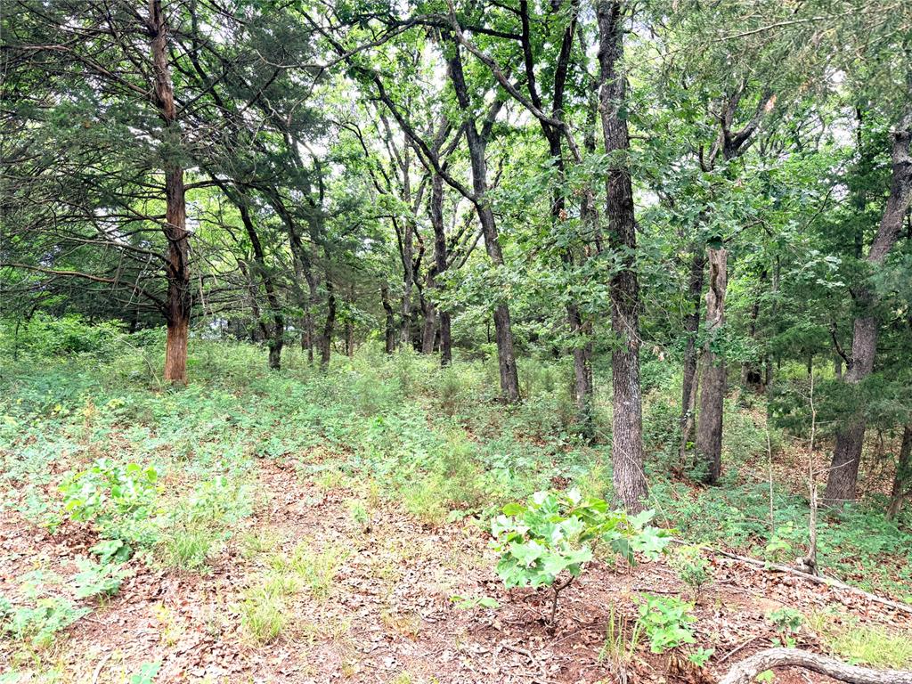 3540 Road Property Photo 4