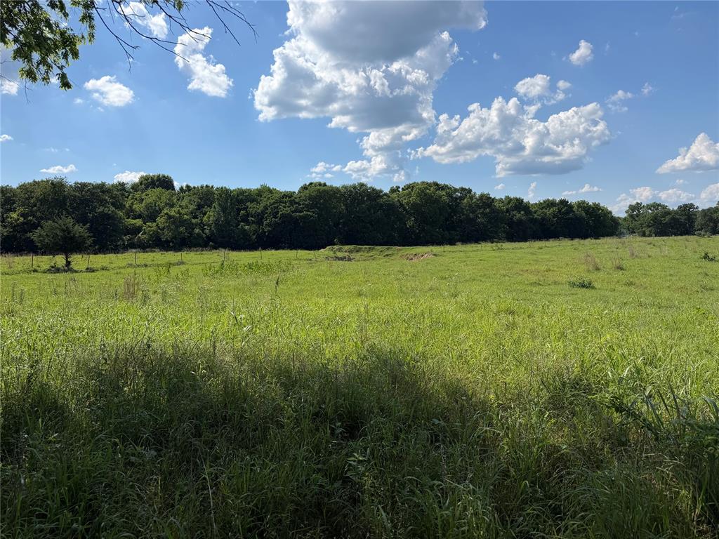 0002 County Road 3416 Property Photo 1