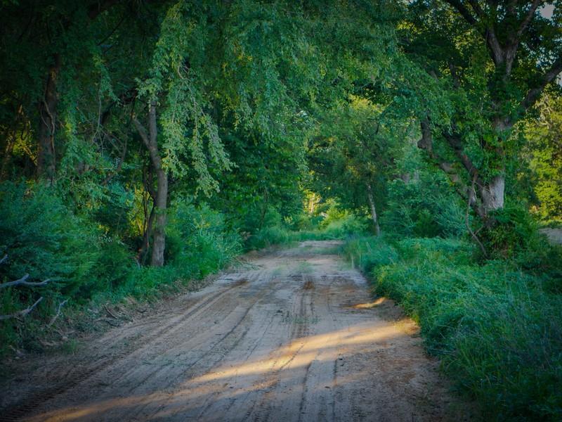 385011 Ew 1150 Road Property Photo 6