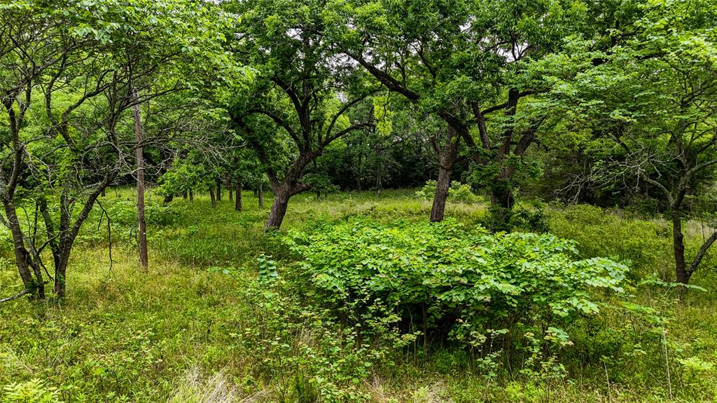 0000 Moble Road Property Photo 1