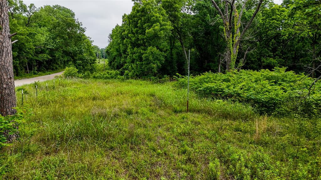 0000 Moble Road Property Photo 4