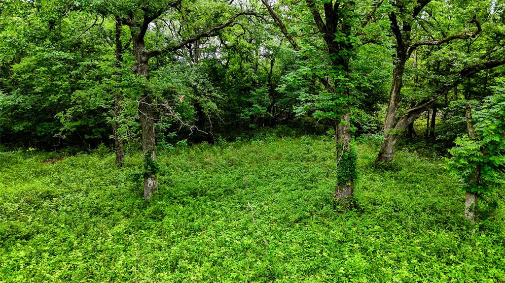 0000 Moble Road Property Photo 10