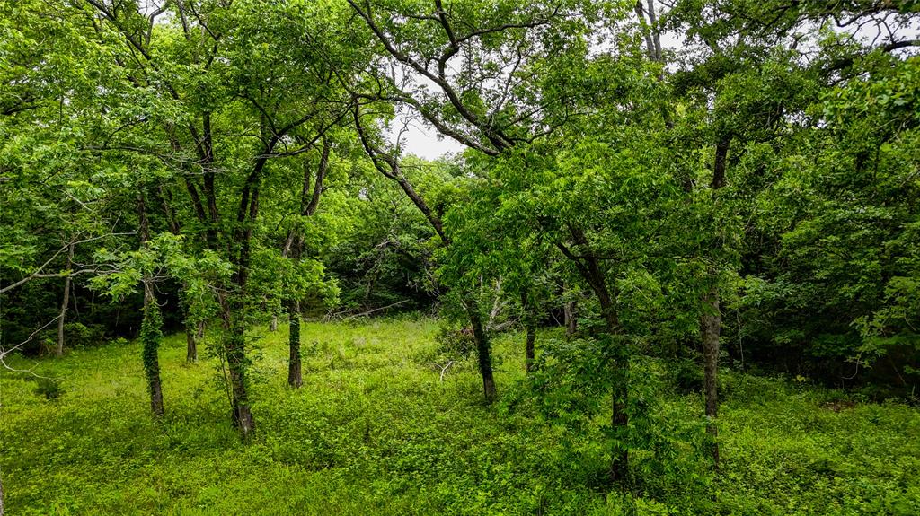 0000 Moble Road Property Photo 12