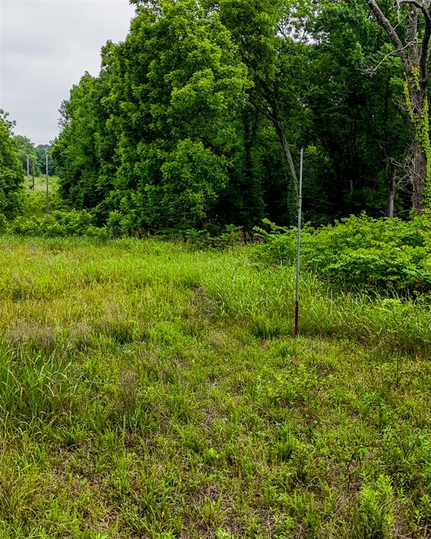 0000 Moble Road Property Photo 19
