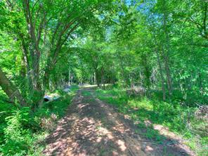 Morningside Drive Property Photo 3