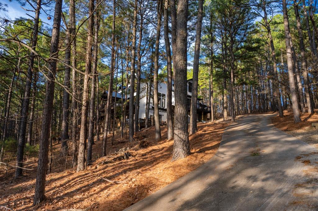 255 Trebble Hook Road Property Photo 44