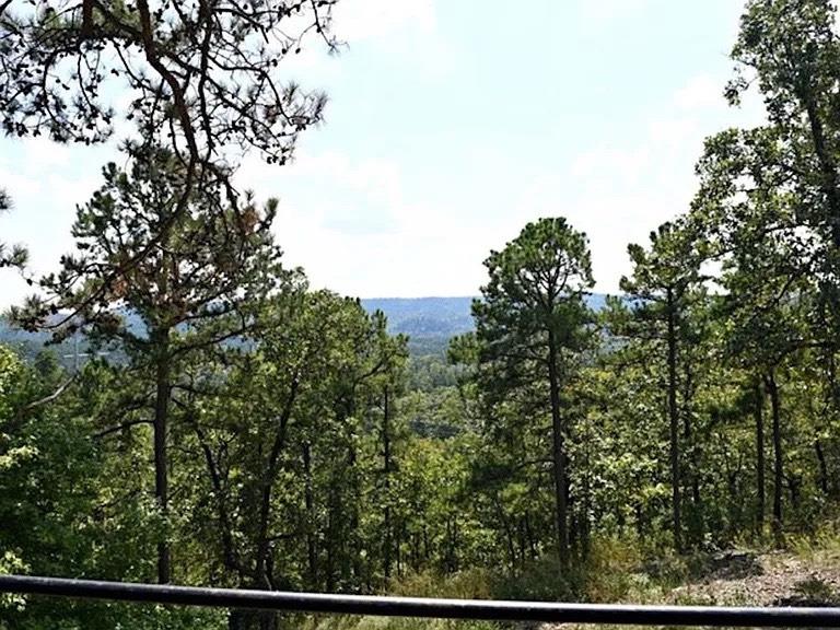 1216 Lake Ridge Lane Property Photo 14