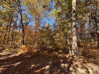 391 Freshwater Road Property Photo 3