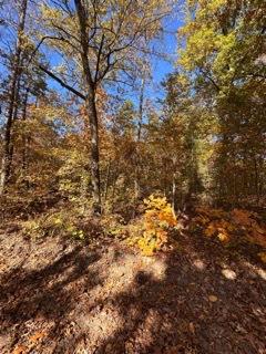 391 Freshwater Road Property Photo 8