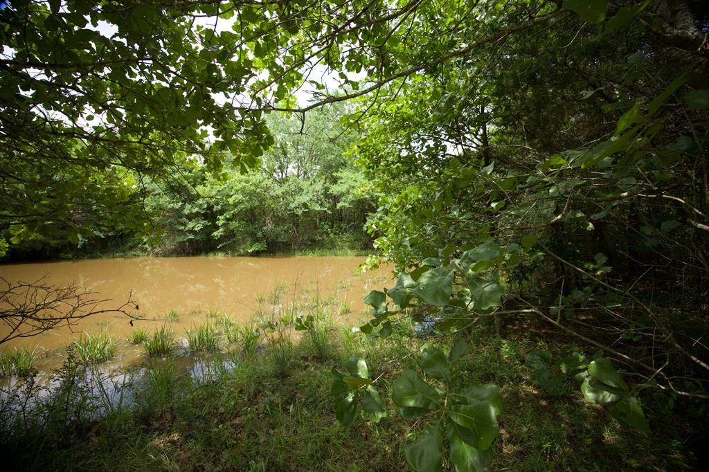 N 3920 County Road Property Photo 20