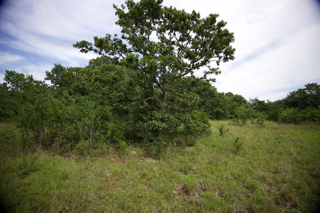 N 3920 County Road Property Photo 25