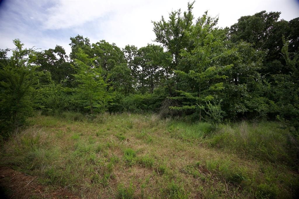 N 3920 County Road Property Photo 37