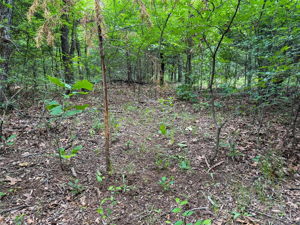 E 1010 Road Property Photo 26