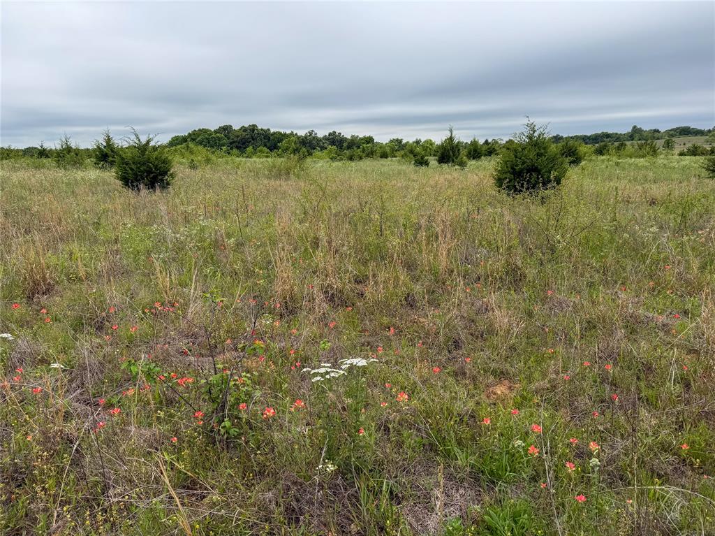 E 1010 Road Property Photo 30