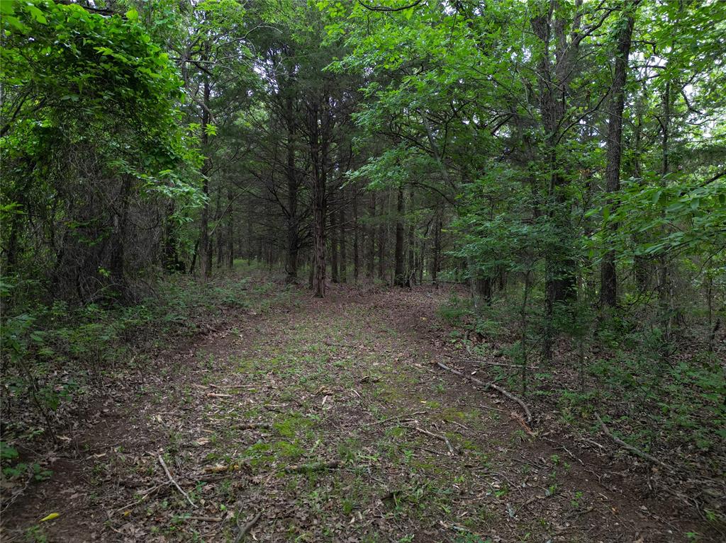 E 1010 Road Property Photo 41