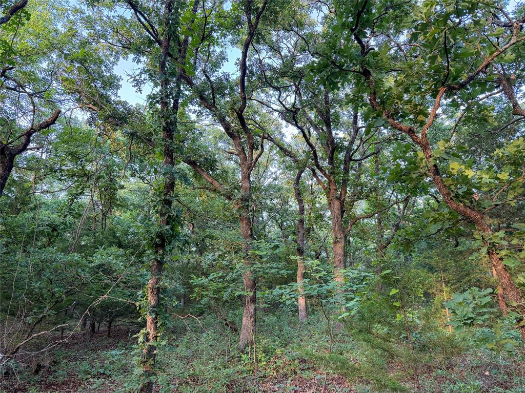 N 3470 Road Property Photo 17