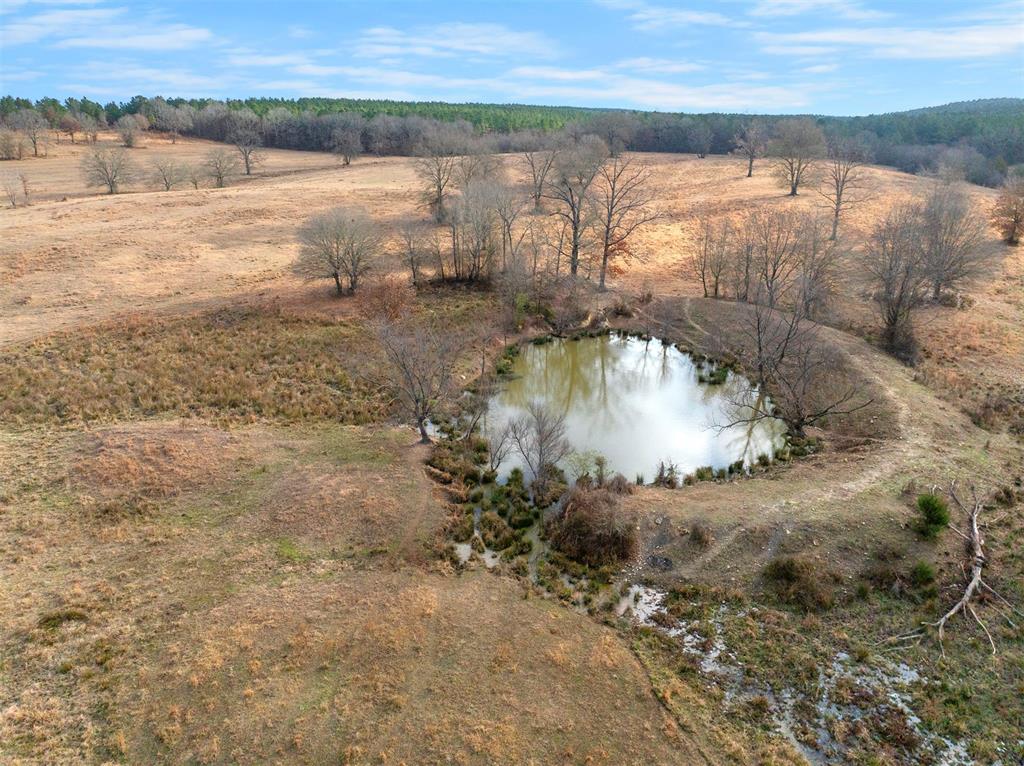 448 Wyr 56600 Road Property Photo 11