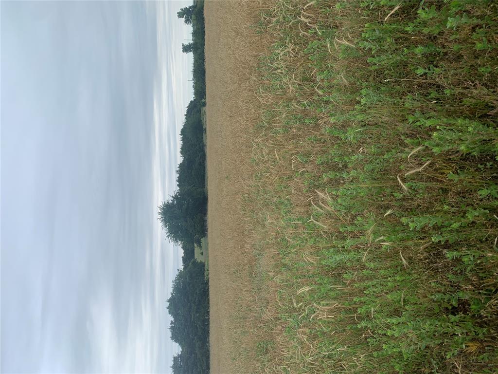 11111 S 59th & Walbaum Rd. Road Property Photo 6