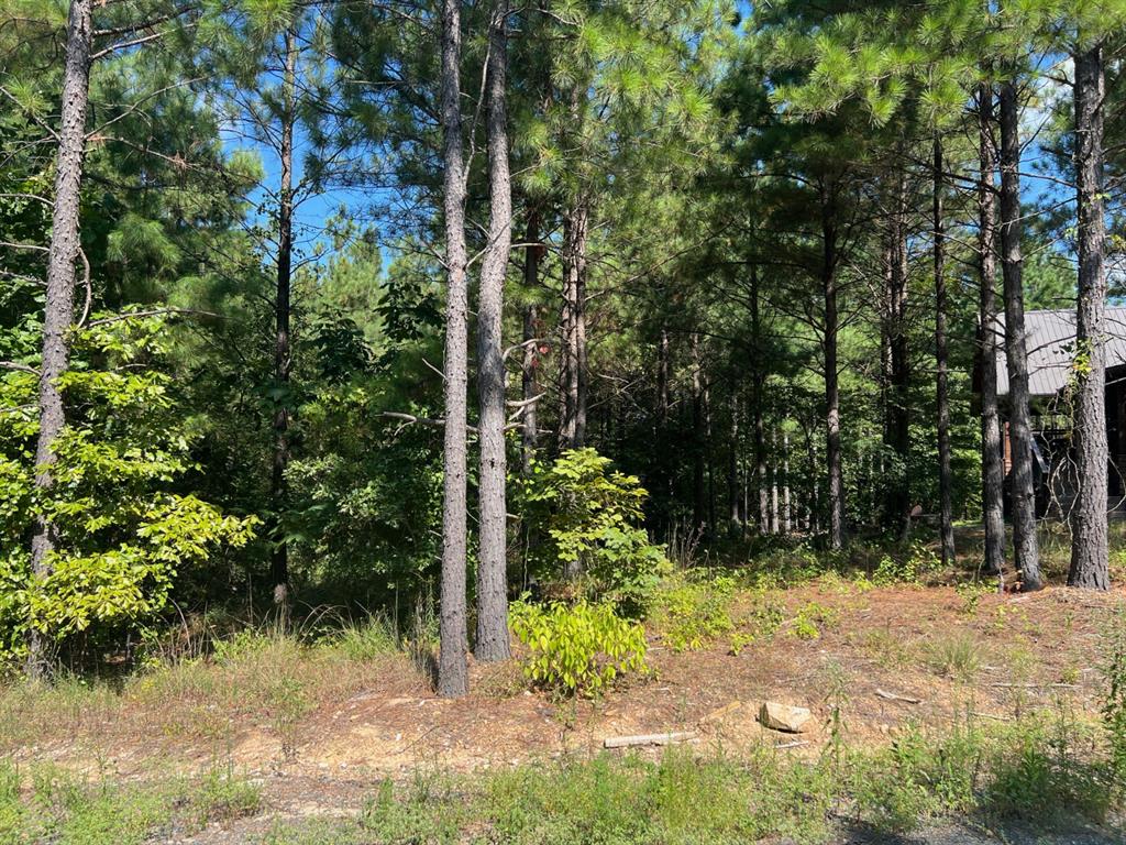 53 Weathered Timber Trail Property Photo 4