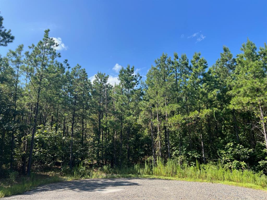 53 Weathered Timber Trail Property Photo 5