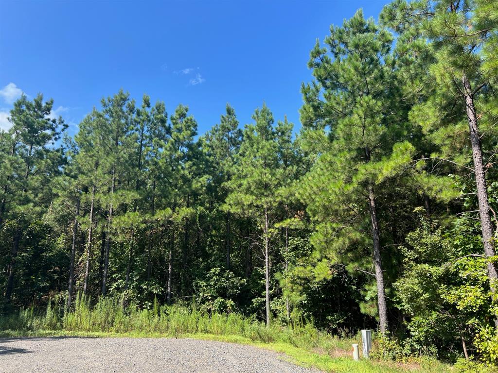 53 Weathered Timber Trail Property Photo 6