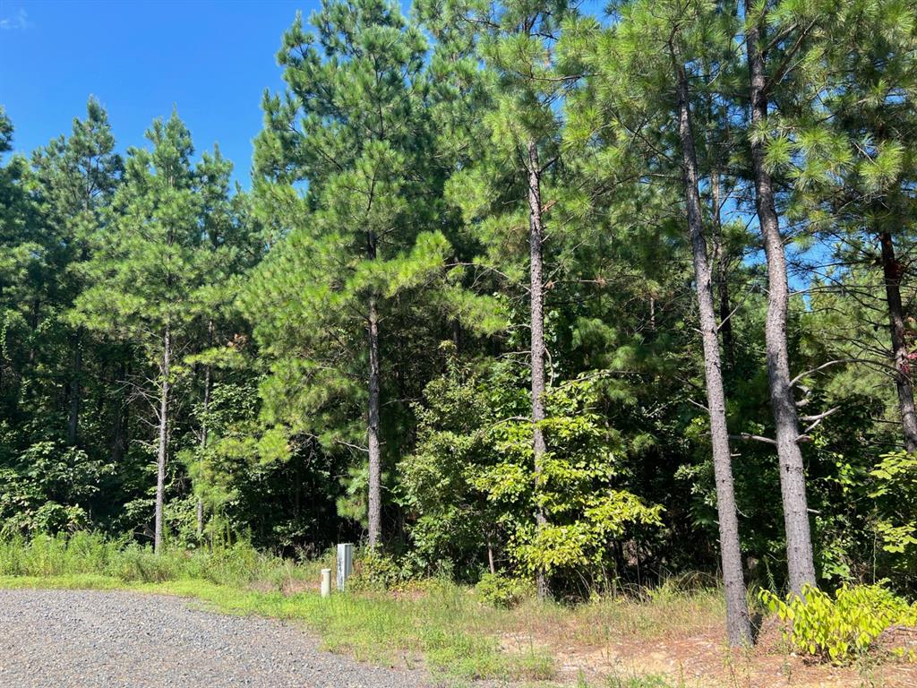 53 Weathered Timber Trail Property Photo 10