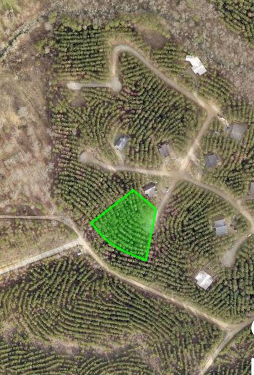 53 Weathered Timber Trail Property Photo 11