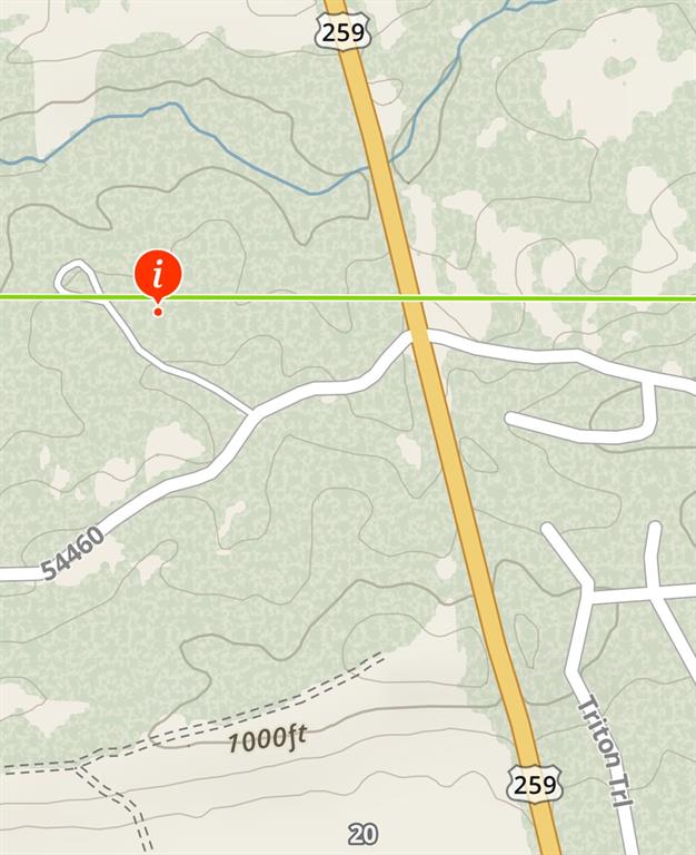 53 Weathered Timber Trail Property Photo 14