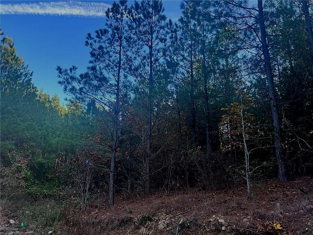 160 Red Fern Trail Property Photo 1