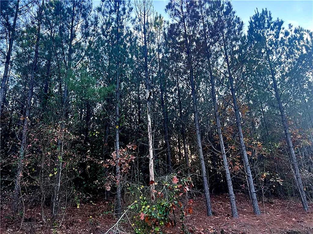 160 Red Fern Trail Property Photo 2
