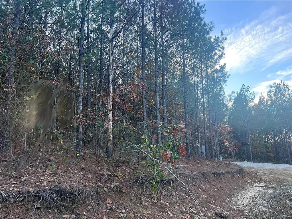 160 Red Fern Trail Property Photo 3
