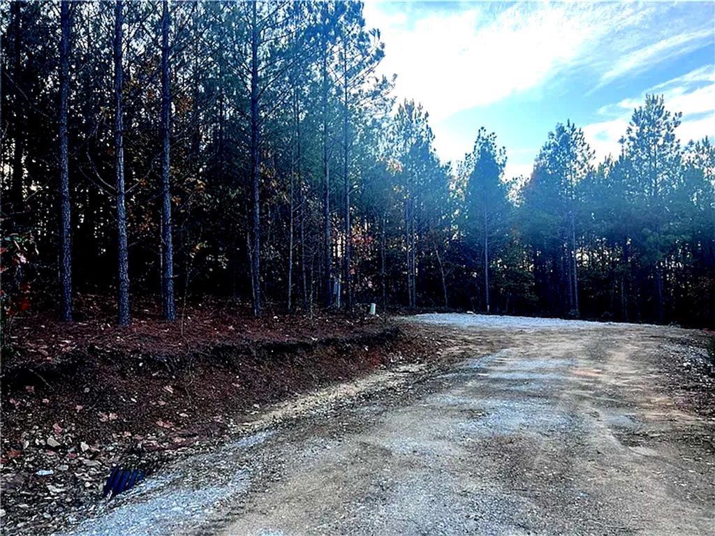 160 Red Fern Trail Property Photo 4