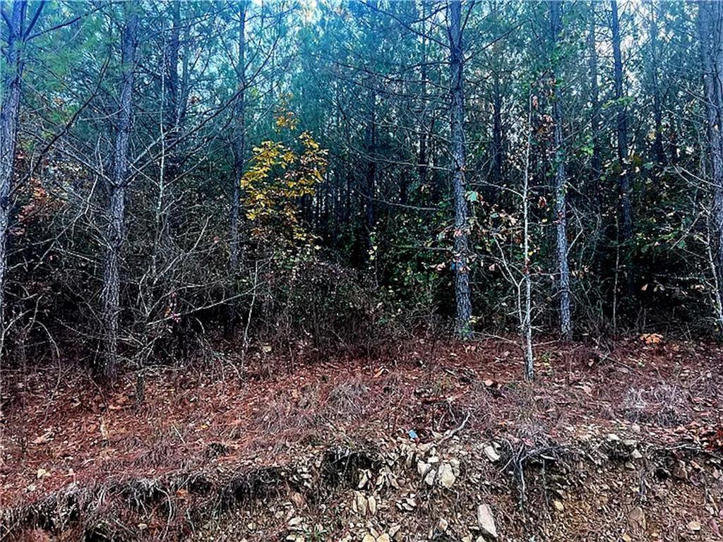 160 Red Fern Trail Property Photo 5