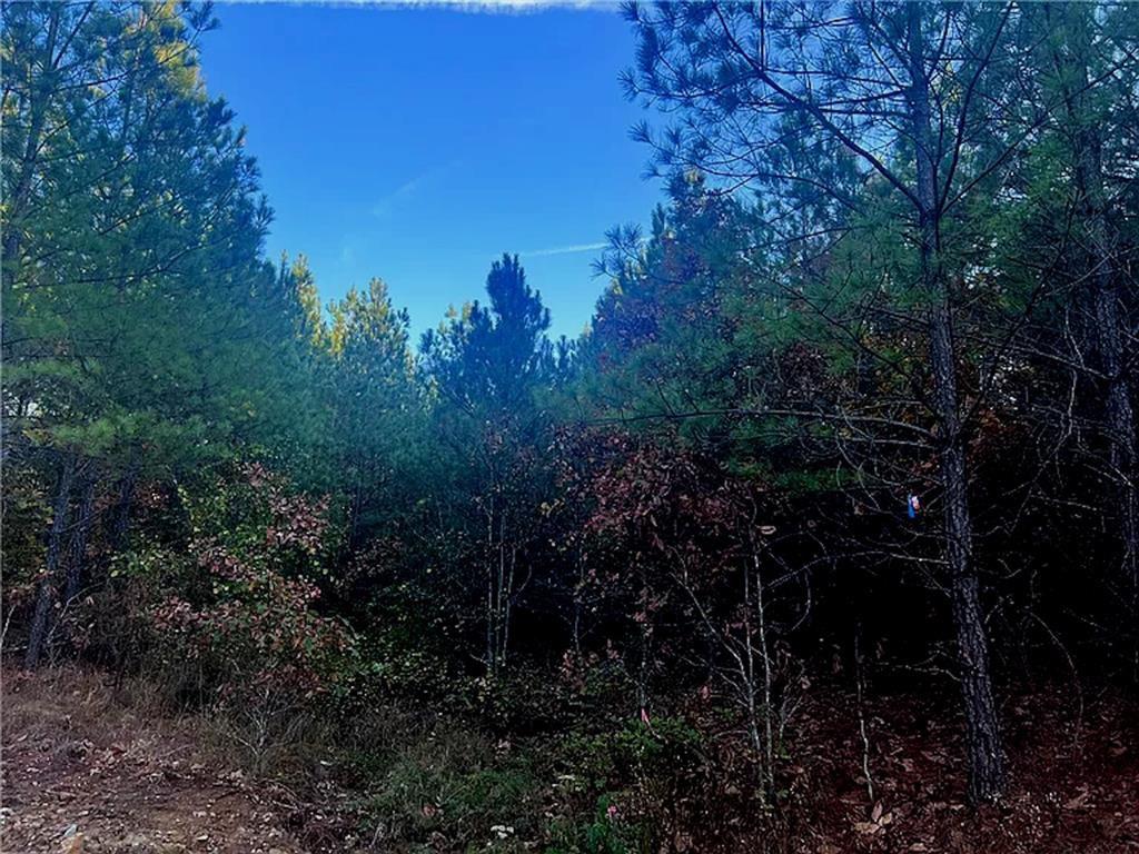 160 Red Fern Trail Property Photo 6