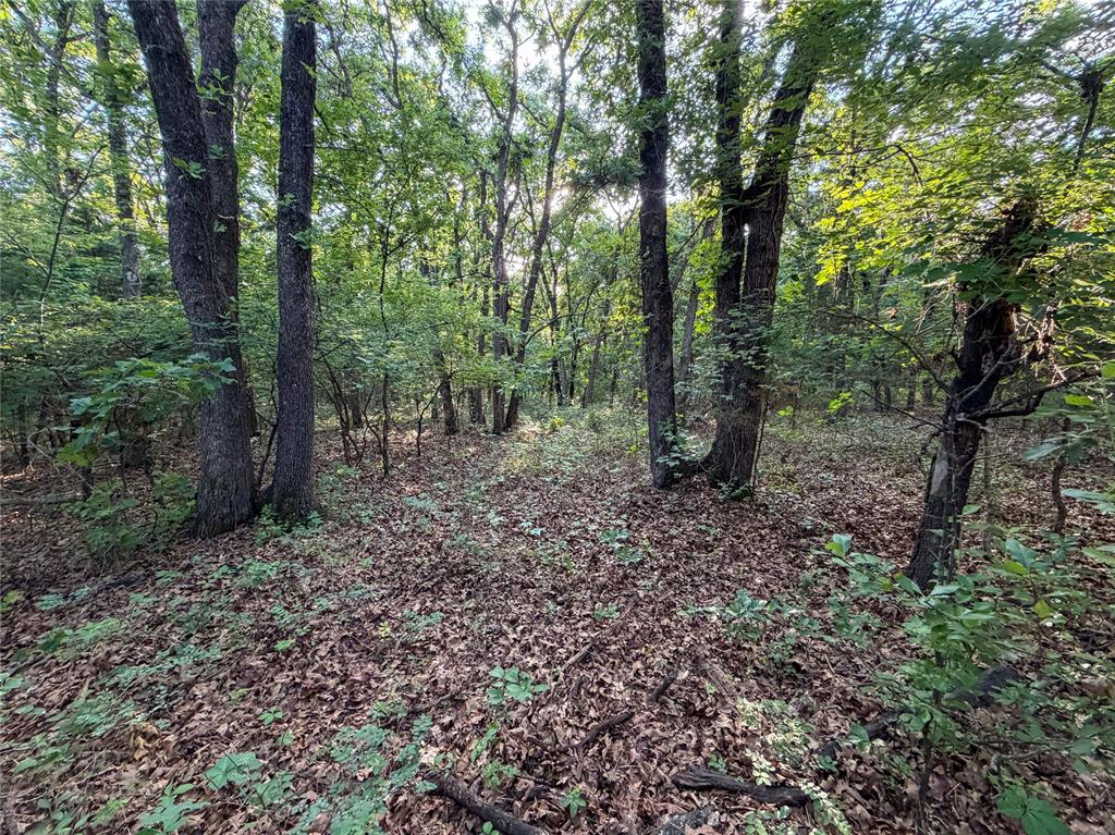 N 3470 Road Property Photo 11