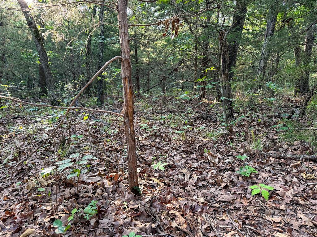 N 3470 Road Property Photo 23