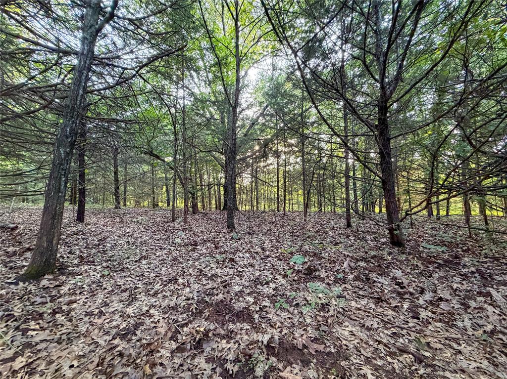 N 3470 Road Property Photo 25