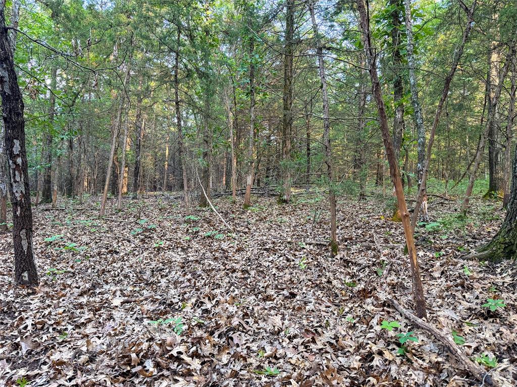N 3470 Road Property Photo 26