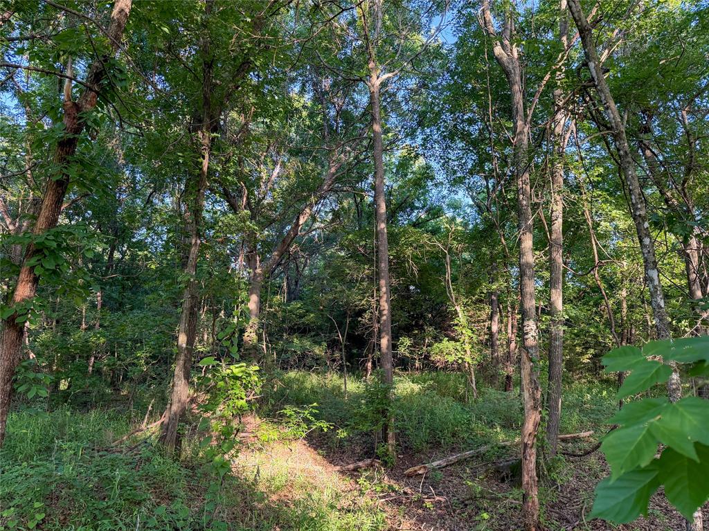 N 3470 Road Property Photo 29