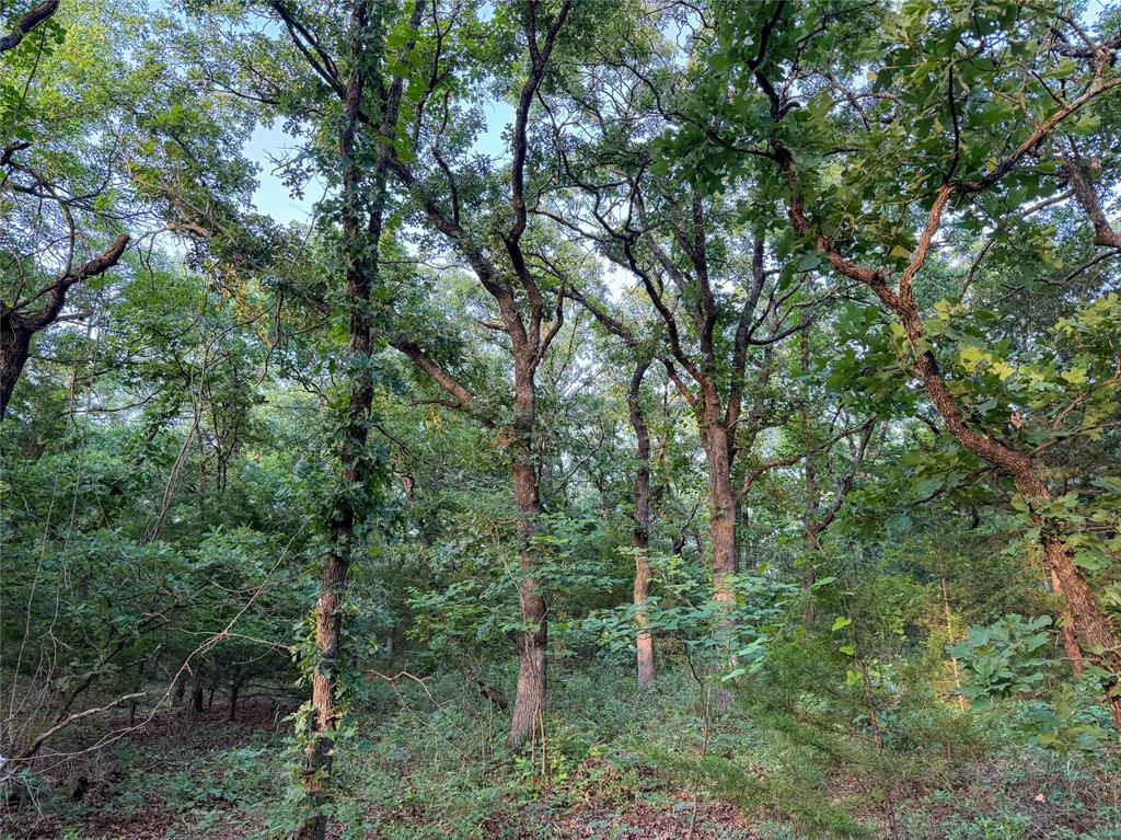 N 3470 Road Property Photo 31