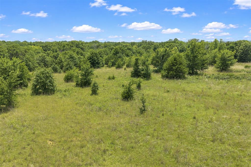 1461 Big Bear Road Property Photo 8