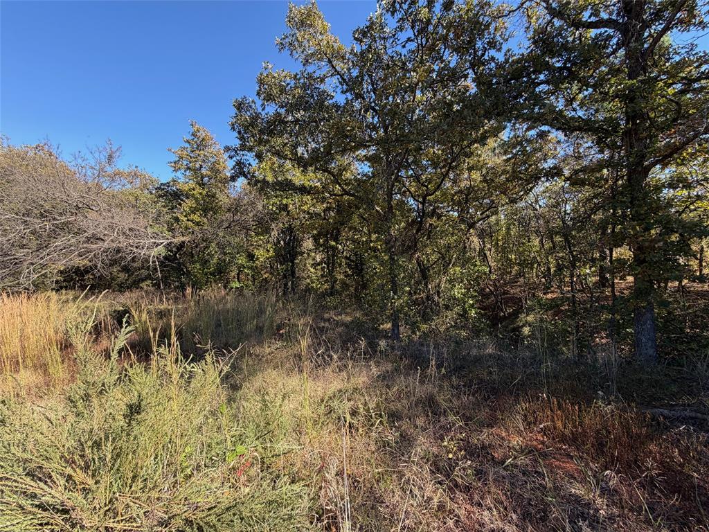 11500 Garden Way Property Photo 4