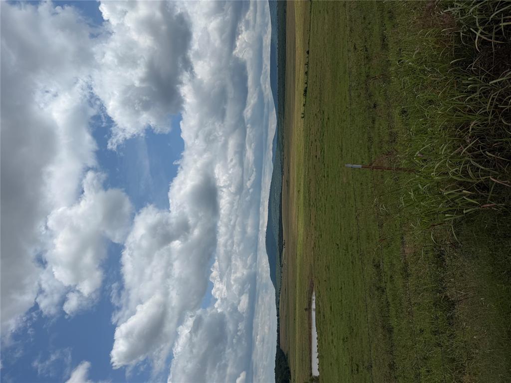 1233548 Property Photo 22