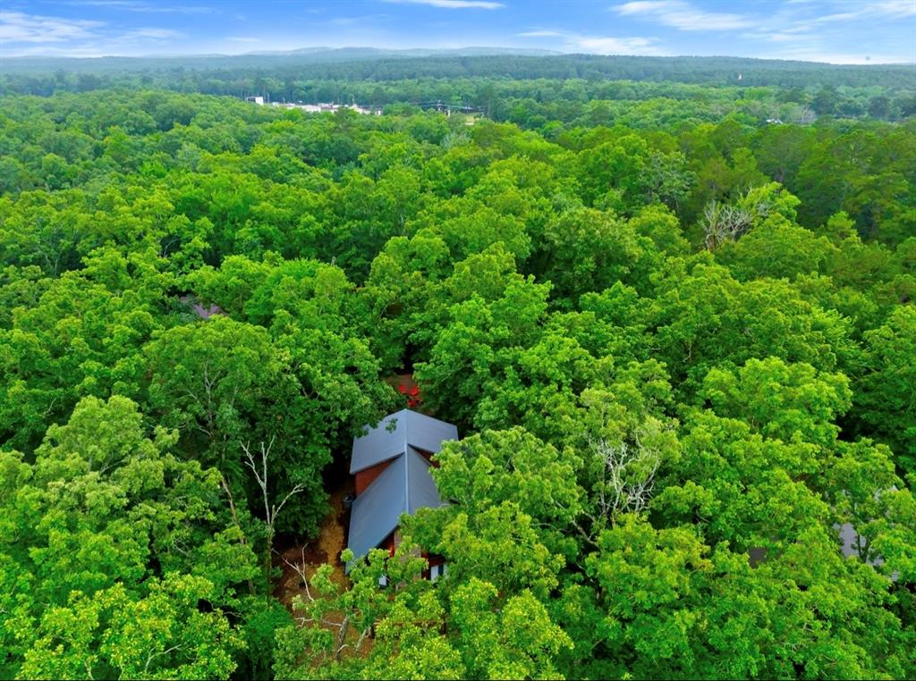 35 Bass Loop Property Photo 26