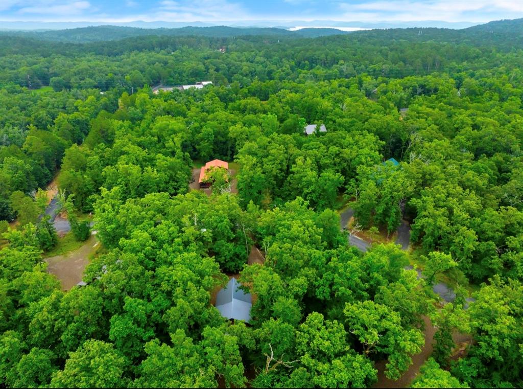 35 Bass Loop Property Photo 27