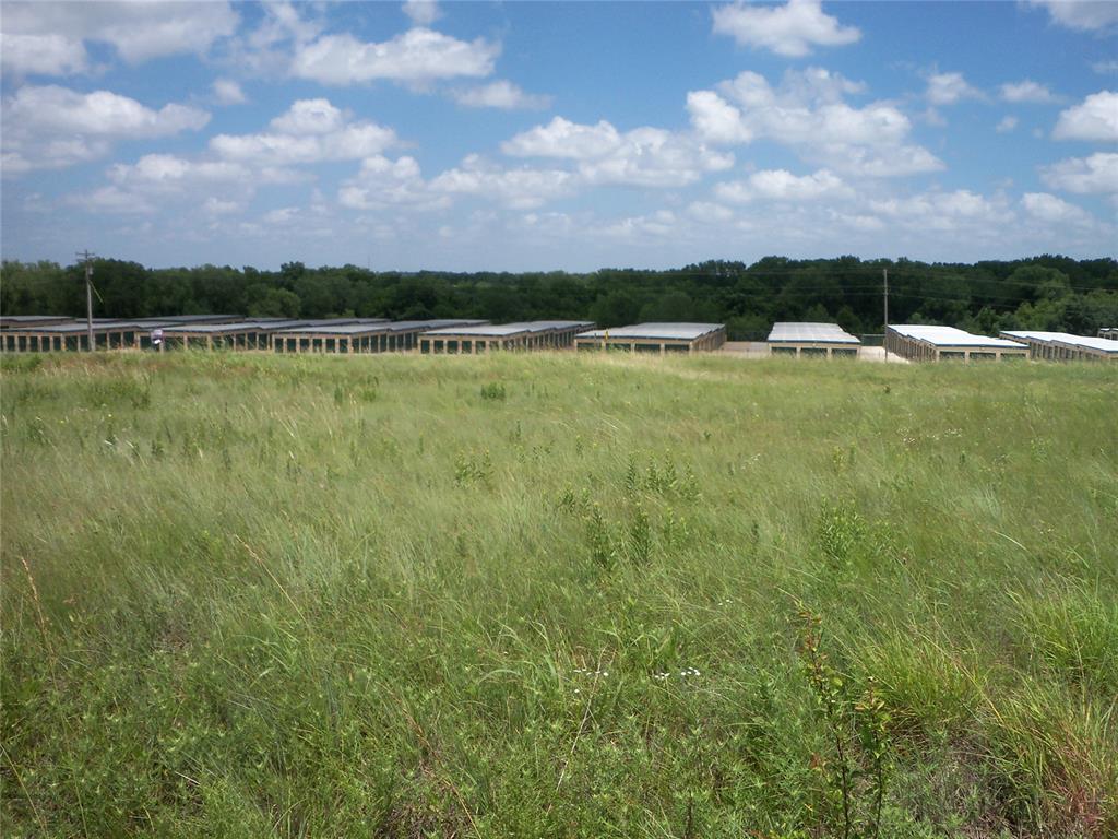 Weeden Drive Property Photo 14